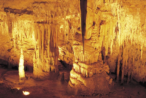 Naracoorte Caves Conservation Park