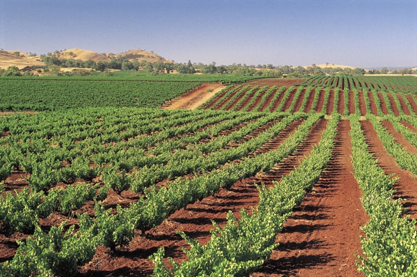 Barossa Valley