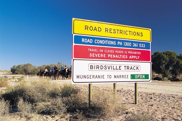 Birdsville track