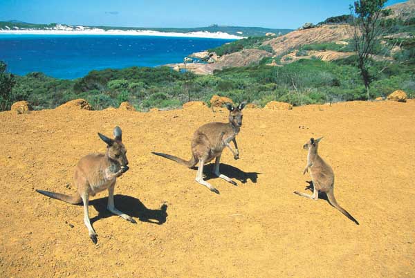 Cape Le Grand National Park