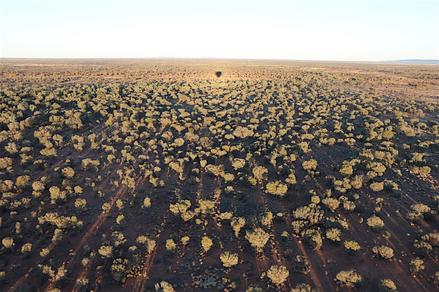 Ballonvaart boven de outback